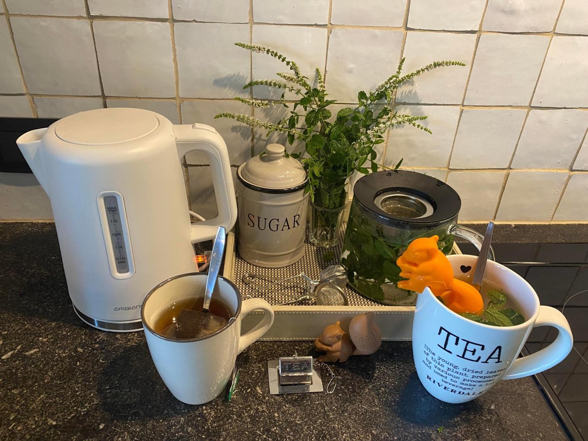 Vakantiehuis The Nuthouse Roeselare Zewnętrze zdjęcie